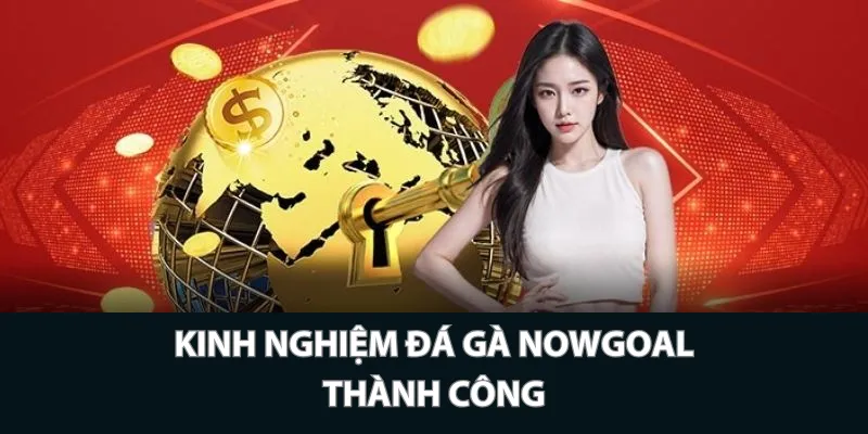 Kinh nghiệm đá gà Nowgoal thành công